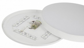Накладной светильник Эра Relict Relict 48 Pult SPB-6-60-RC WH в Режи - rezh.ok-mebel.com | фото 11