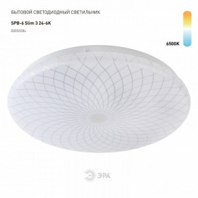 Накладной светильник Эра Slim SPB-6 Slim 3 24-6K в Режи - rezh.ok-mebel.com | фото 2