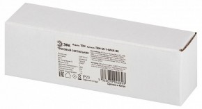 Накладной светильник Эра  TRM-S5-1-6W4K-BK в Режи - rezh.ok-mebel.com | фото 6