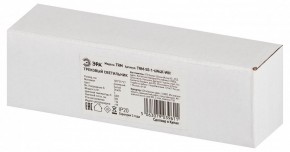 Накладной светильник Эра  TRM-S5-1-6W4K-WH в Режи - rezh.ok-mebel.com | фото 6