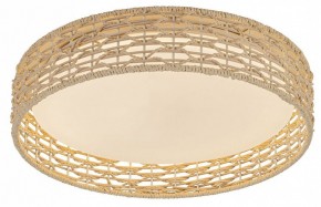 Накладной светильник F-promo Conrad 4749-4C в Режи - rezh.ok-mebel.com | фото 2