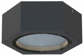Накладной светильник Favourite Fantum 4667-1U в Режи - rezh.ok-mebel.com | фото