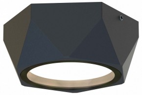 Накладной светильник Favourite Fantum 4670-1U в Режи - rezh.ok-mebel.com | фото