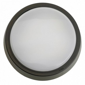 Накладной светильник Feron AL3020 51473 в Режи - rezh.ok-mebel.com | фото 4