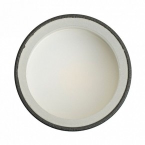 Накладной светильник Feron ML100 51369 в Режи - rezh.ok-mebel.com | фото 8