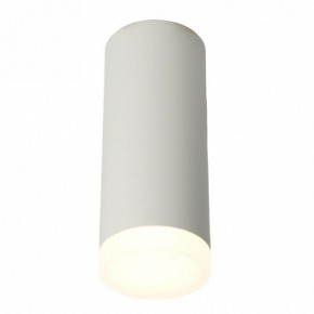 Накладной светильник Feron ML102 51389 в Режи - rezh.ok-mebel.com | фото 2