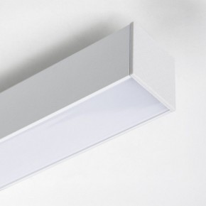 Накладной светильник Lightstar Lilla 202136 в Режи - rezh.ok-mebel.com | фото 4