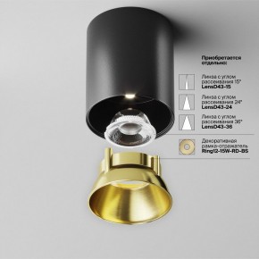Накладной светильник Maytoni Alfa LED C064CL-12W4K-RD-B в Режи - rezh.ok-mebel.com | фото 3