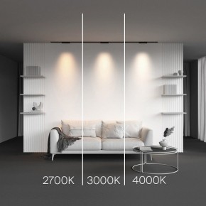 Накладной светильник Maytoni Points TR193-1-10W2.7K-M-B в Режи - rezh.ok-mebel.com | фото 2