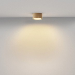 Накладной светильник Maytoni Zon C032CL-12W2.7K-RD-MG в Режи - rezh.ok-mebel.com | фото 4