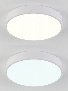 Накладной светильник Natali Kovaltseva  LED LAMPS 81111/5C в Режи - rezh.ok-mebel.com | фото 4