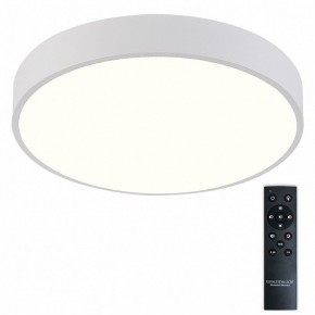 Накладной светильник Natali Kovaltseva  LED LAMPS 81112/5C в Режи - rezh.ok-mebel.com | фото 2