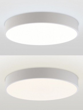 Накладной светильник Natali Kovaltseva MODERN LED LAMPS 81105/2C в Режи - rezh.ok-mebel.com | фото 4
