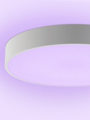 Накладной светильник Natali Kovaltseva MODERN LED LAMPS 81105/2C в Режи - rezh.ok-mebel.com | фото 9