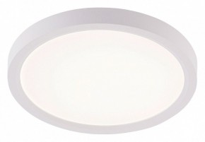 Накладной светильник Natali Kovaltseva PLAIN LED LAMPS 81113/1C в Режи - rezh.ok-mebel.com | фото