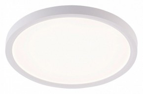 Накладной светильник Natali Kovaltseva PLAIN LED LAMPS 81113/2C в Режи - rezh.ok-mebel.com | фото
