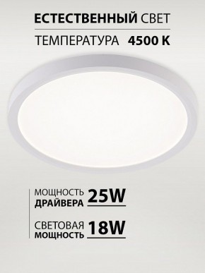 Накладной светильник Natali Kovaltseva PLAIN LED LAMPS 81113/2C в Режи - rezh.ok-mebel.com | фото 3