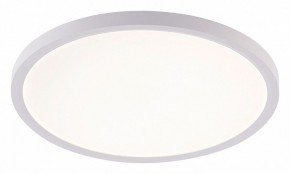 Накладной светильник Natali Kovaltseva PLAIN LED LAMPS 81113/3C в Режи - rezh.ok-mebel.com | фото