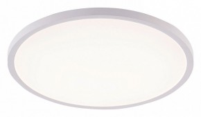 Накладной светильник Natali Kovaltseva PLAIN LED LAMPS 81113/5C в Режи - rezh.ok-mebel.com | фото