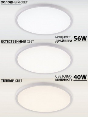 Накладной светильник Natali Kovaltseva PLAIN LED LAMPS 81113/5C в Режи - rezh.ok-mebel.com | фото 3