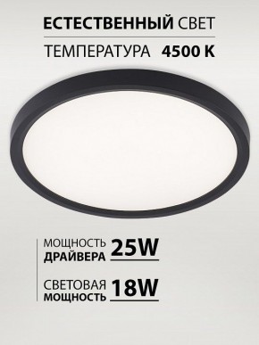 Накладной светильник Natali Kovaltseva PLAIN LED LAMPS 81114/2C в Режи - rezh.ok-mebel.com | фото 3
