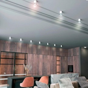 Накладной светильник Novotech Elina 370730 в Режи - rezh.ok-mebel.com | фото 3