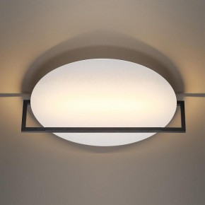 Накладной светильник Odeon Light Next 7015/20WL в Режи - rezh.ok-mebel.com | фото 2