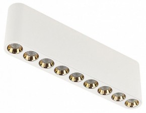 Накладной светильник Odeon Light Small 7091/21CL в Режи - rezh.ok-mebel.com | фото