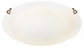 Накладной светильник Sonex Ammonite 7602/DL в Режи - rezh.ok-mebel.com | фото 3