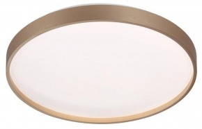 Накладной светильник Sonex Gaby 7783/DL в Режи - rezh.ok-mebel.com | фото 3