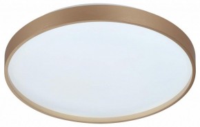 Накладной светильник Sonex Gaby 7783/DL в Режи - rezh.ok-mebel.com | фото 4