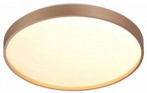 Накладной светильник Sonex Gaby 7783/DL в Режи - rezh.ok-mebel.com | фото 5