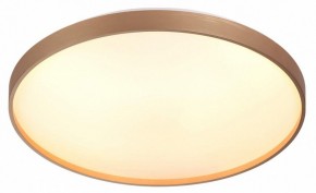 Накладной светильник Sonex Gaby 7783/EL в Режи - rezh.ok-mebel.com | фото 5