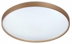 Накладной светильник Sonex Gaby 7783/EL в Режи - rezh.ok-mebel.com | фото 6