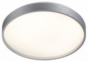 Накладной светильник Sonex Gaby 7784/CL в Режи - rezh.ok-mebel.com | фото 4