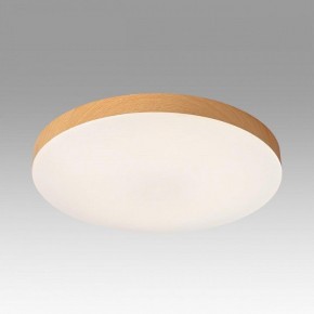 Накладной светильник Sonex Gamma 7761/24L в Режи - rezh.ok-mebel.com | фото 3