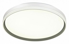 Накладной светильник Sonex Savi 7631/DL в Режи - rezh.ok-mebel.com | фото 5