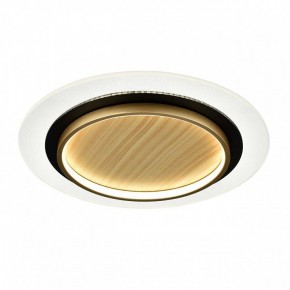 Накладной светильник Sonex Sunny 7731/80L в Режи - rezh.ok-mebel.com | фото 4