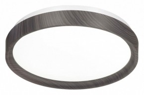 Накладной светильник Sonex Woodi 7627/CL в Режи - rezh.ok-mebel.com | фото 4