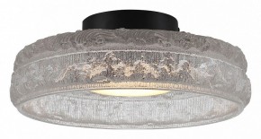 Накладной светильник ST-Luce ANTIKE SL6143.402.01 в Режи - rezh.ok-mebel.com | фото 2