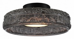 Накладной светильник ST-Luce ANTIKE SL6143.412.01 в Режи - rezh.ok-mebel.com | фото 2
