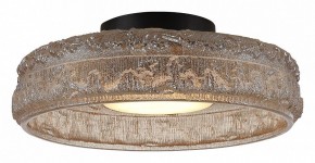 Накладной светильник ST-Luce ANTIKE SL6143.422.01 в Режи - rezh.ok-mebel.com | фото 3