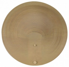 Накладной светильник ST-Luce Fossil SL6900.501.16 в Режи - rezh.ok-mebel.com | фото