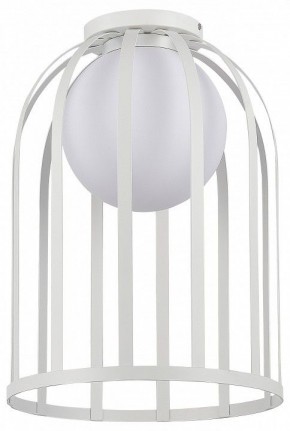 Накладной светильник ST-Luce Nordic SL6129.502.01 в Режи - rezh.ok-mebel.com | фото