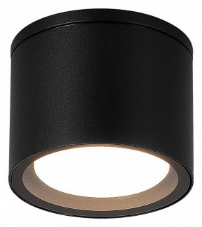 Накладной светильник ST-Luce Tubo SL9006.402.01 в Режи - rezh.ok-mebel.com | фото 2