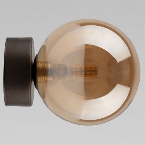 Накладной светильник TK Lighting Estera 10256 Estera в Режи - rezh.ok-mebel.com | фото
