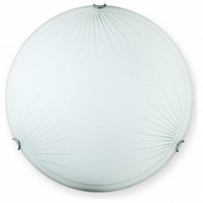 Накладной светильник TopLight Wifa TL9142Y-00WH в Режи - rezh.ok-mebel.com | фото