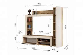 НИКОЛЬ Гостиная (Дуб крафт серый/софт айвори) в Режи - rezh.ok-mebel.com | фото 2