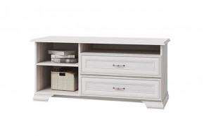 НИКОЛЬ Тумба под телевизор с 1 дв и 2 ящика в Режи - rezh.ok-mebel.com | фото 2
