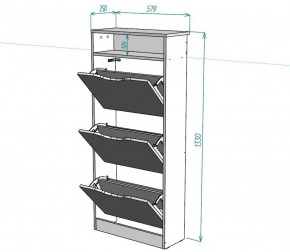 Обувница W10 (ДСС) в Режи - rezh.ok-mebel.com | фото